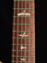 Paul Reed Smith Modern Eagle V Experience LTD River Blue Purple Burst-Brian's Guitars