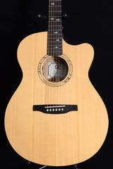 Used Paul Reed Smith SE Alex Lifeson Thinline-Brian's Guitars