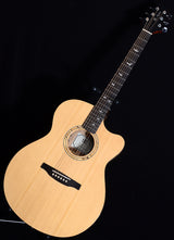 Used Paul Reed Smith SE Alex Lifeson Thinline-Brian's Guitars