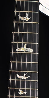 Paul Reed Smith Special Semi-Hollow Limited Charcoal Burst-Brian's Guitars