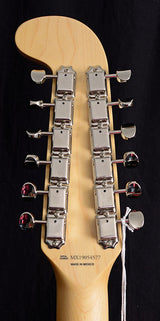 Fender Alternate Reality Electric XII-Brian's Guitars