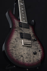 Paul Reed Smith SE Mark Holcomb-Brian's Guitars