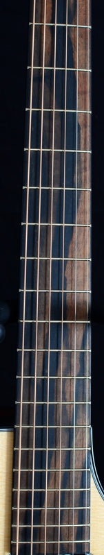 Taylor Custom GC Macassar Ebony-Brian's Guitars