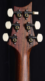 Paul Reed Smith Wood Library DGT Brian's Limited Dark Cherry Sunburst-Brian's Guitars