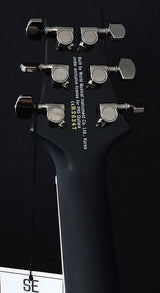 Paul Reed Smith SE Mark Holcomb-Brian's Guitars