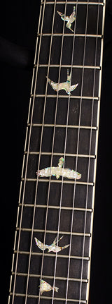 Paul Reed Smith Wood Library DGT Brian's Limited Aqua Blue Burst-Brian's Guitars