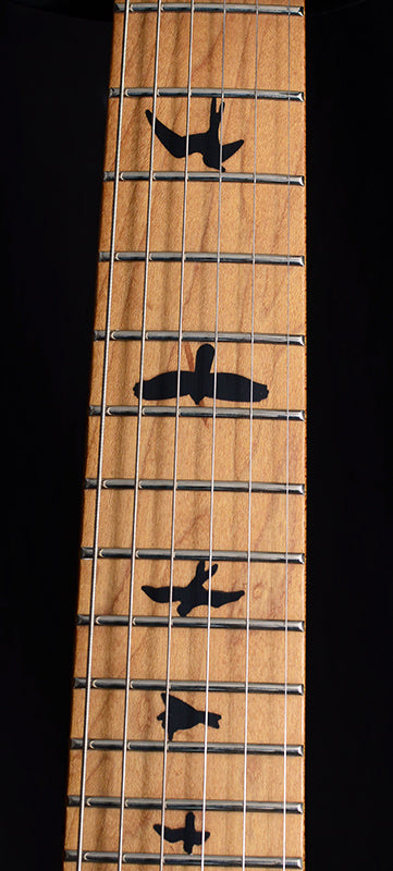 Paul Reed Smith SE Custom 24 Roasted Maple Charcoal Burst-Brian's Guitars