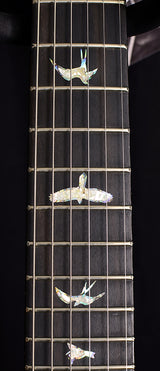 Paul Reed Smith Wood Library Special Semi-Hollow Brian's Limited Charcoal Tri-Color Burst-Brian's Guitars