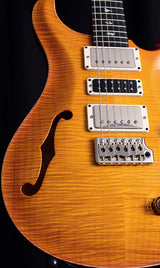 Paul Reed Smith Wood Library Special Semi-Hollow Brian's Limited McCarty Sunburst-Brian's Guitars