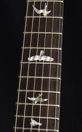 Paul Reed Smith Private Stock Modern Eagle V Limited Frostbite Glow Smoked Purple Burst-Brian's Guitars