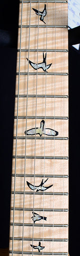 Paul Reed Smith Wood Library Artist 509 Brian's Limited Bonnie Pink Smokeburst-Brian's Guitars