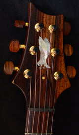 Paul Reed Smith Private Stock Custom 24 Signature Semi-Hollow Tiger Eye Smoked Burst-Brian's Guitars