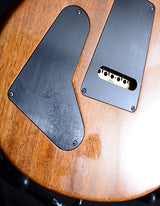 Used Paul Reed Smith Wood Library Special Semi-Hollow Brian's Limited Yellow Tiger-Brian's Guitars