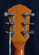 Fender FA-235E Concert Striped Ebony Top Limited Run-Brian's Guitars