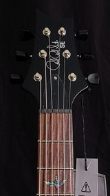 Paul Reed Smith SE Paul's Guitar Aqua-Brian's Guitars