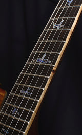 Paul Reed Smith Private Stock Hollowbody II McCarty 594 Poplar Burl-Brian's Guitars