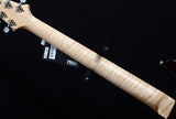 Paul Reed Smith Custom 24 Swamp Ash Black Gold One Off-Brian's Guitars