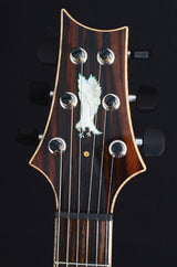 Paul Reed Smith Private Stock DGT Semi-Hollow Macassar Ebony-Brian's Guitars