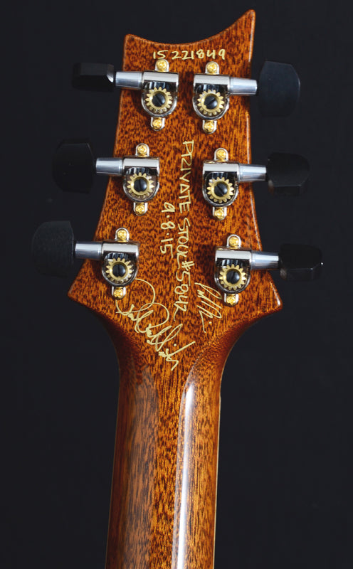 Paul Reed Smith Private Stock DGT Semi-Hollow Macassar Ebony-Brian's Guitars