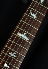 Used Paul Reed Smith Private Stock 20th Anniversary Aqua Violet-Brian's Guitars