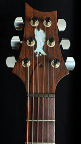 Used Paul Reed Smith Private Stock 20th Anniversary Aqua Violet-Brian's Guitars