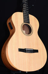 Taylor Academy 12e-N Nylon-Brian's Guitars