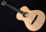 Taylor Academy 12e-N Nylon-Brian's Guitars