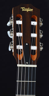 Taylor Academy 12e-N Nylon-Brian's Guitars