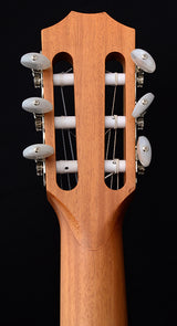 Taylor Academy 12e-N Nylon-Brian's Guitars