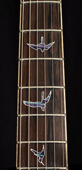 Paul Reed Smith Private Stock McCarty 594 Northern Lights-Brian's Guitars