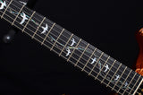 Paul Reed Smith 30th Anniversary Vine Custom 22 Limited Copperhead-Brian's Guitars