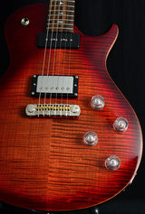 Paul Reed Smith SE Chris Robertson-Brian's Guitars