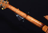 Paul Reed Smith 30th Anniversary Vine Custom 22 Limited Copperhead-Brian's Guitars