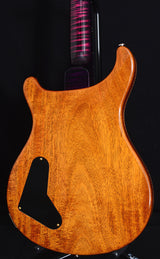 Used Paul Reed Smith Private Stock Violin II Angry Larry-Brian's Guitars