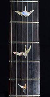 Used Paul Reed Smith Private Stock DGT Stoptail David Grissom Electric Tiger-Brian's Guitars