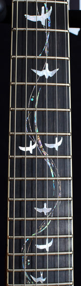 Paul Reed Smith 30th Anniversary Vine McCarty Limited Copperhead-Brian's Guitars