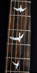 Paul Reed Smith Private Stock Paul's Guitar Northern Lights-Brian's Guitars