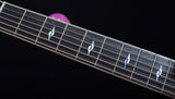 Taylor 816ce-Brian's Guitars