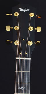 Taylor 314ce Tasmanian Blackwood Lutz Spruce Limited-Brian's Guitars