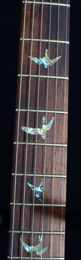 Used Paul Reed Smith Artist Custom 24 Tortoise Shell-Brian's Guitars