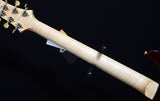 Paul Reed Smith Wood Library Custom 24 'FatBack' Swamp Ash Black Gold-Brian's Guitars