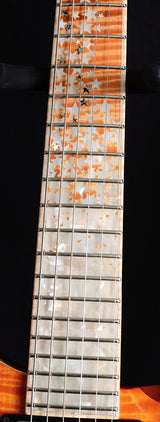 Paul Reed Smith Private Stock Custom 24 Nightfall Brian's Exclusive-Brian's Guitars