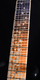 Paul Reed Smith Private Stock Custom 24 Nightfall Brian's Exclusive-Brian's Guitars