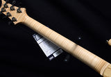 Paul Reed Smith Wood Library Artist 509 Brian's Limited Gray Black Fade Burst-Brian's Guitars