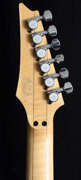 Used Ibanez JEM77FP2 Steve Vai Signature FP2 Floral Pattern-Brian's Guitars