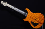 Paul Reed Smith Private Stock Custom 24 7 String Walking Zombie #4-Brian's Guitars