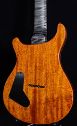 Paul Reed Smith Private Stock Custom 24 7 String Walking Zombie #4-Brian's Guitars