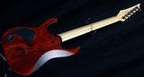 Used Ibanez RG721RW-Electric Guitars-Brian's Guitars