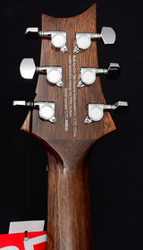 Paul Reed Smith SE Tonare TX20E-Brian's Guitars