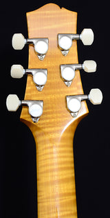 Used Collings 360 LT M Doghair-Brian's Guitars